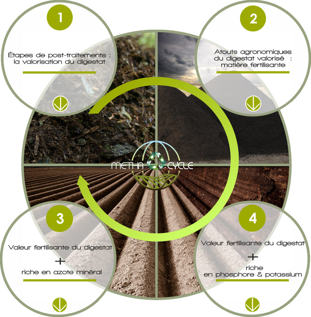 production d'un substrat agronomique avec métha-cycle