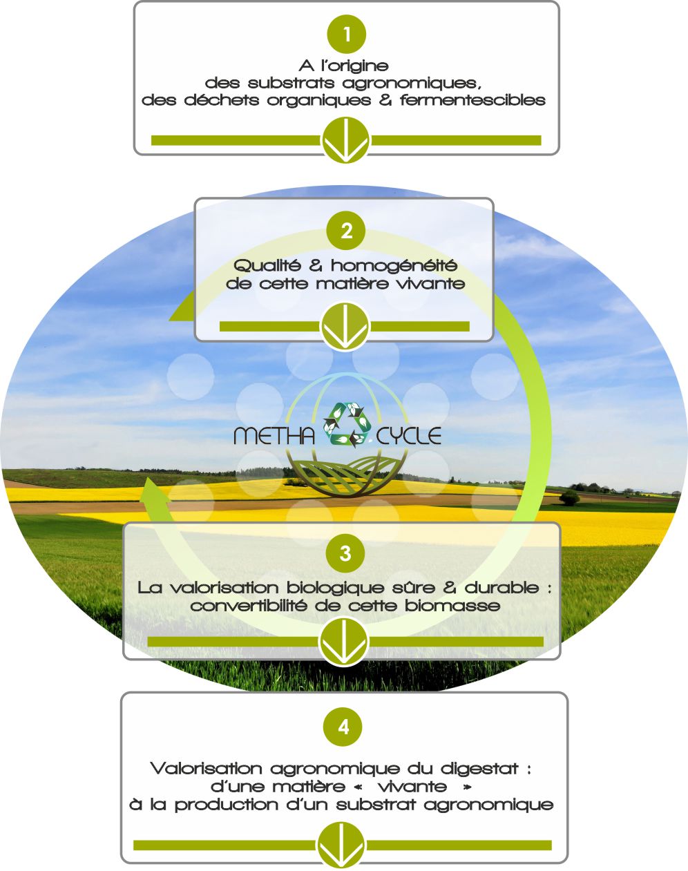 valorisation agronomique du digestat par métha-cycle